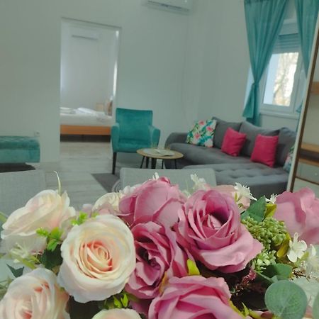 Apartman Radovic Smederevo Buitenkant foto